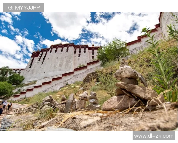 探索阿拉巴的魅力与文化深度，揭开这片土地的历史与未来发展之路