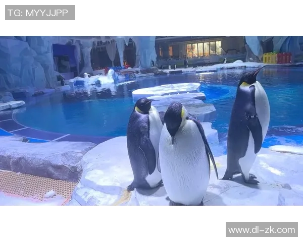 探索知识的海洋科教频道精彩节目表一览