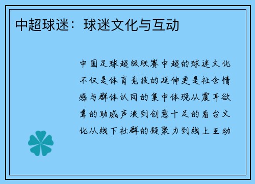中超球迷：球迷文化与互动