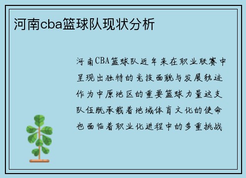 河南cba篮球队现状分析